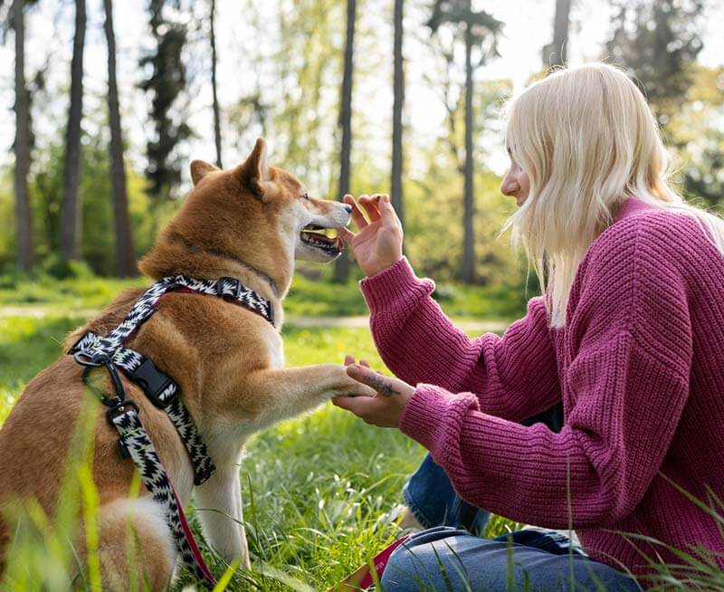 Femme donnant quelque chose à manger à un chien